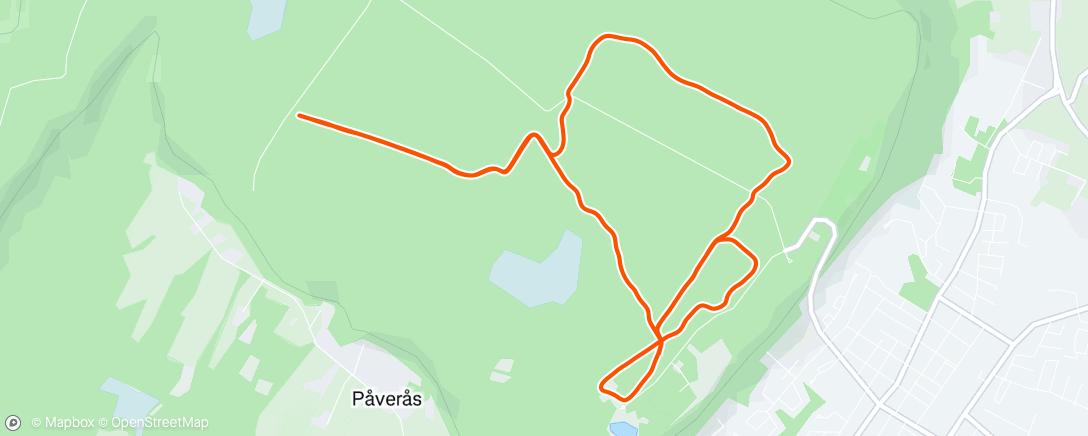 Карта физической активности (Afternoon Nordic Ski)