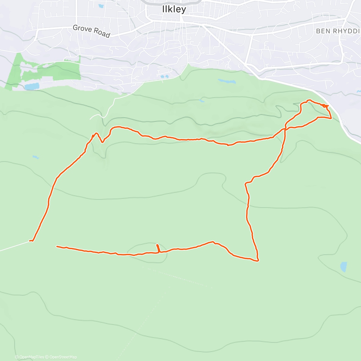 Map of the activity, 🐾🐾