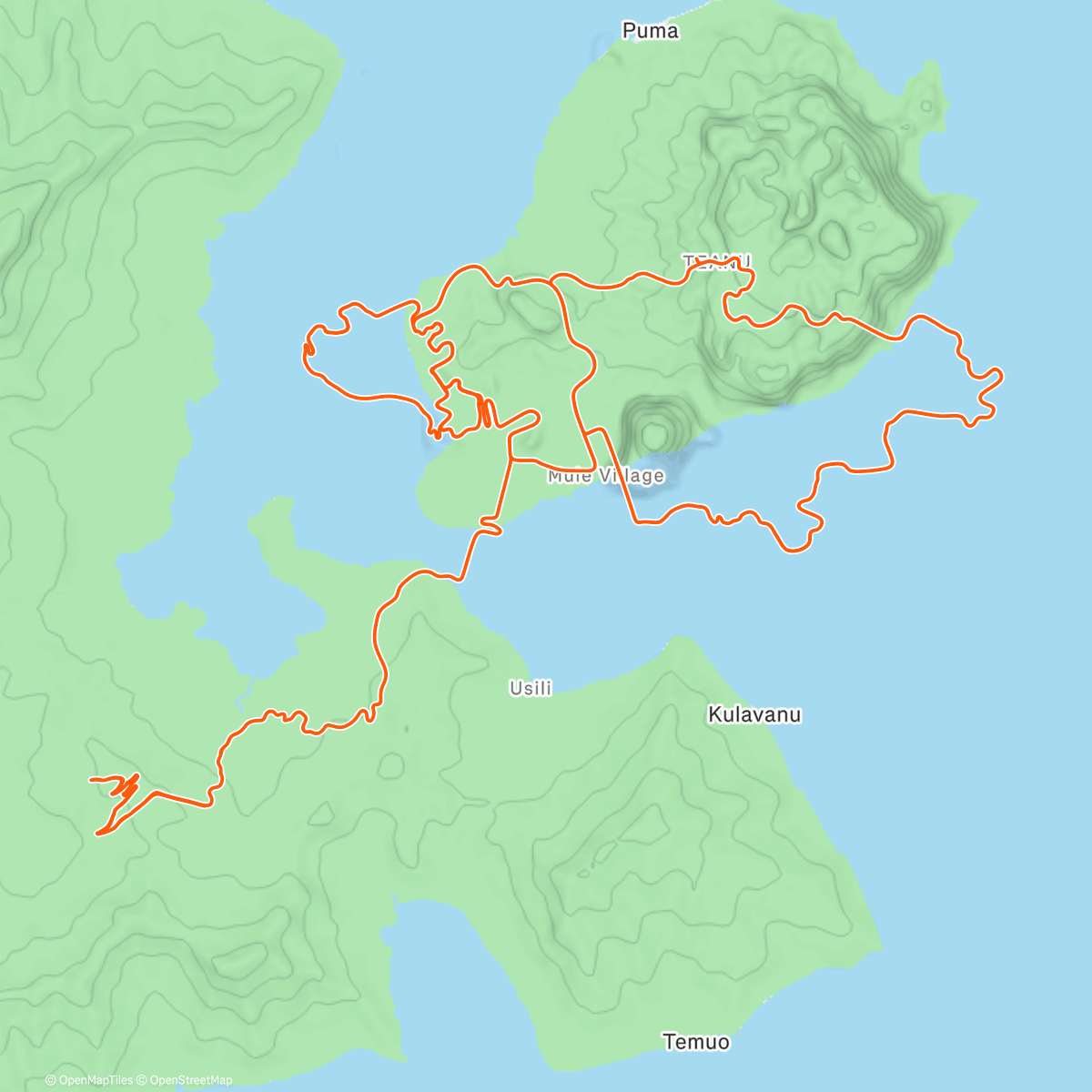 Карта физической активности (Nach Zwift - Group Ride kurz beim Everestimg von Matthias /  vorbeigeschaut)