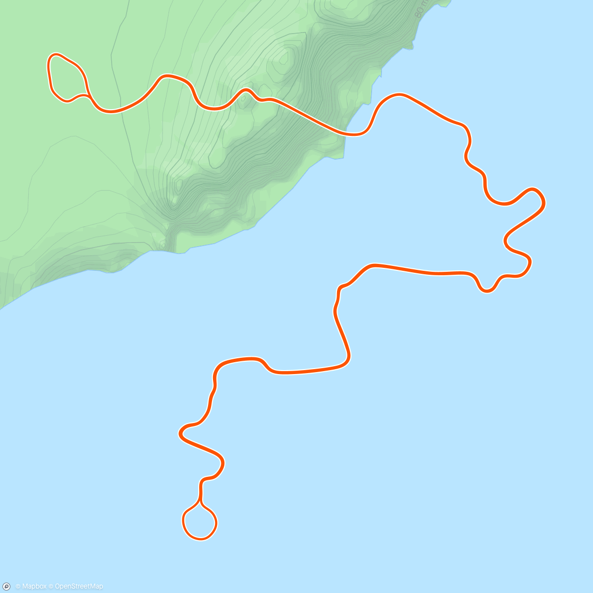 Карта физической активности (Zwift - Pacer Group Ride: Tempus Fugit in Watopia with Maria)