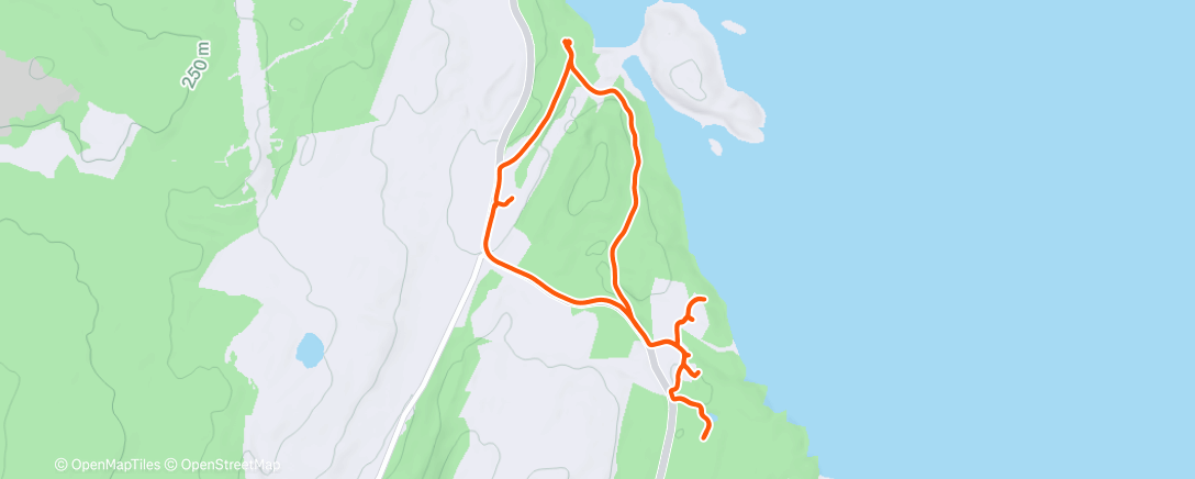 Map of the activity, Morning Run