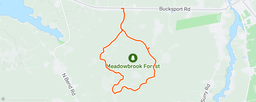 Map of the activity, Another solid hour of running