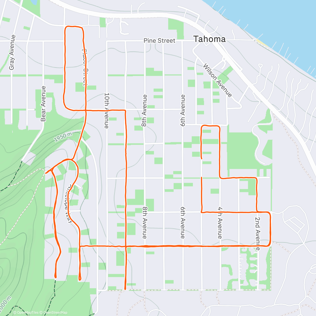 Карта физической активности (Neighborhood grid run exploring - some clear-ish roads, but yaktrax definitely helped)