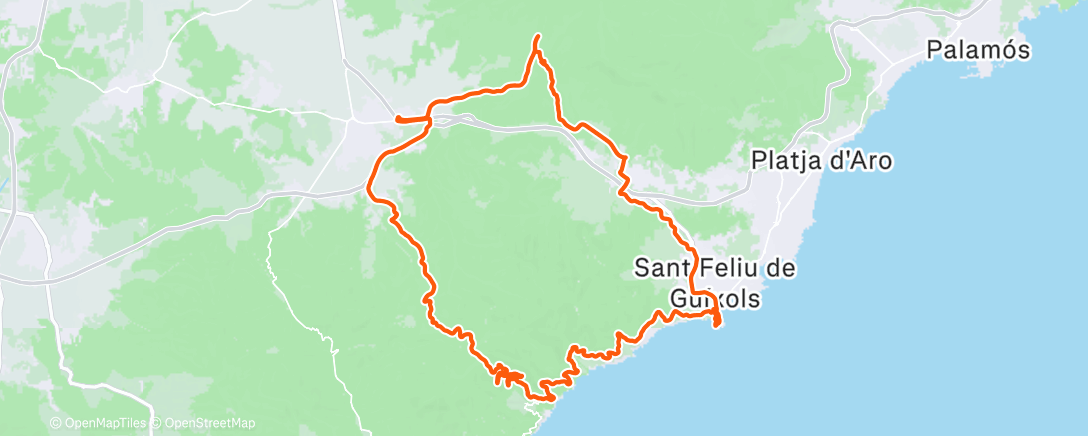 Map of the activity, Morning Ride