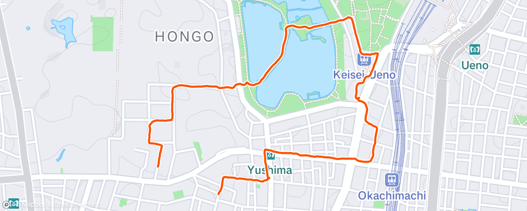 Map of the activity, 夜のウォーキング