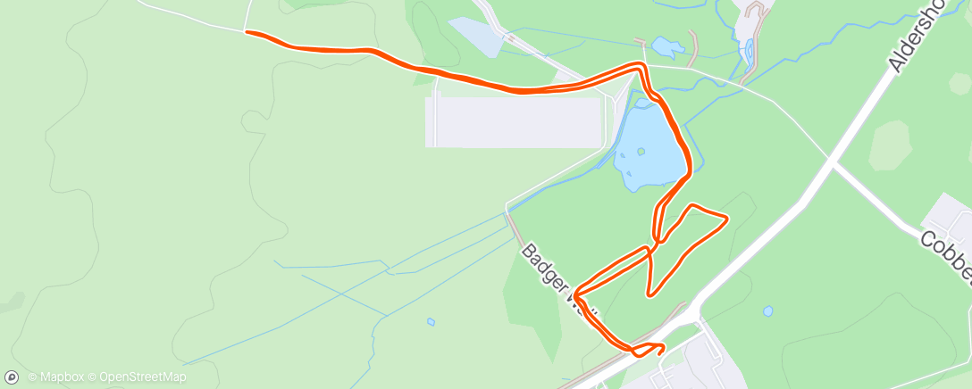 Map of the activity, Henley Park