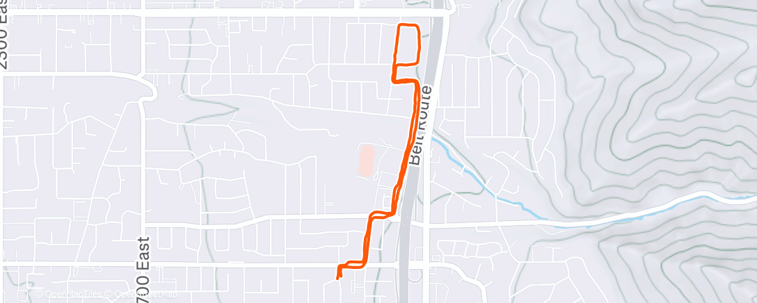 Map of the activity, Morning Run