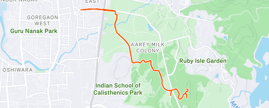 Map of the activity, Morning Run