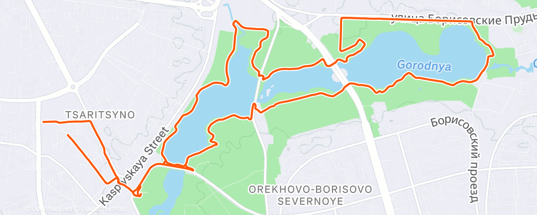 Карта физической активности (Ночной забег)