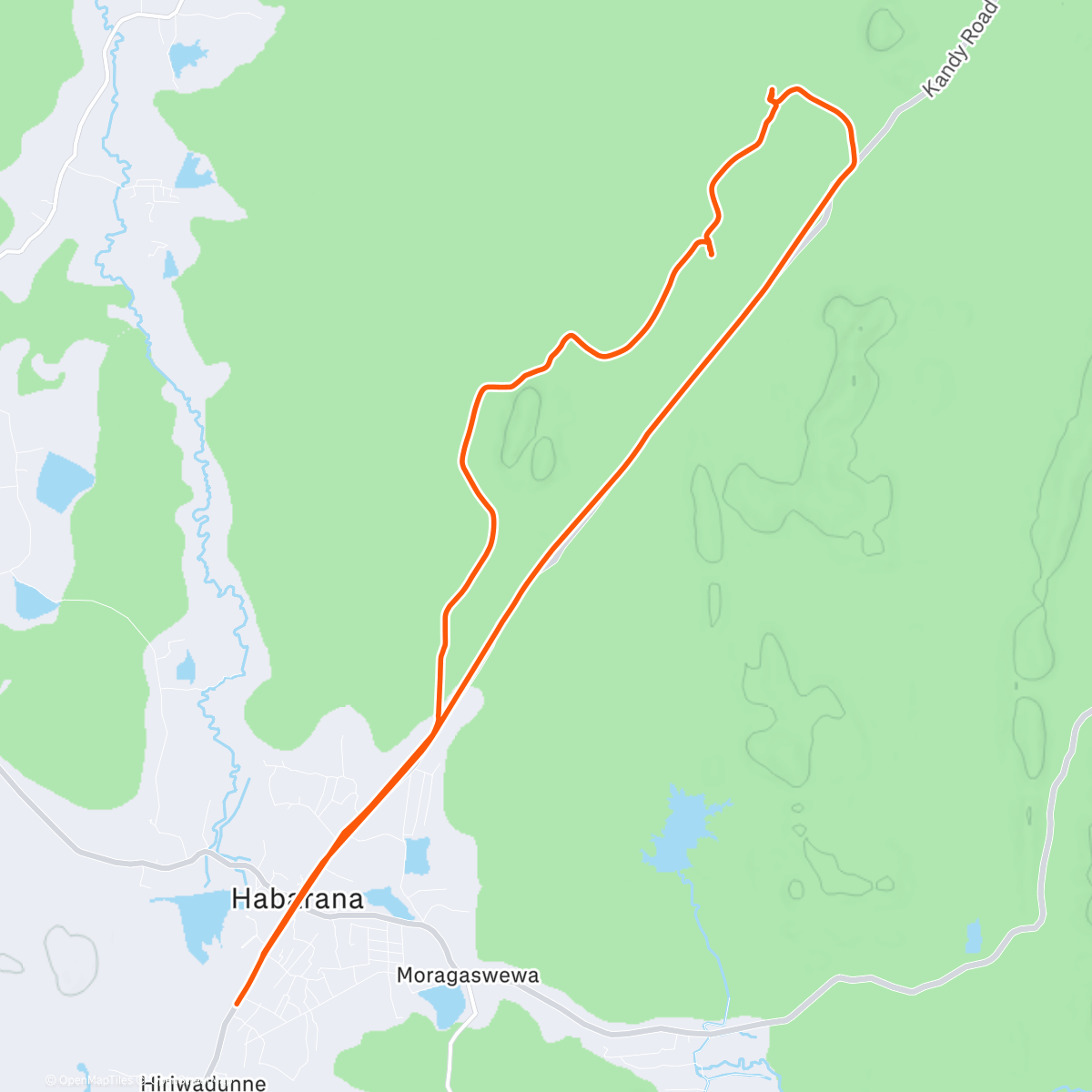 Карта физической активности (Safari... 🐘)