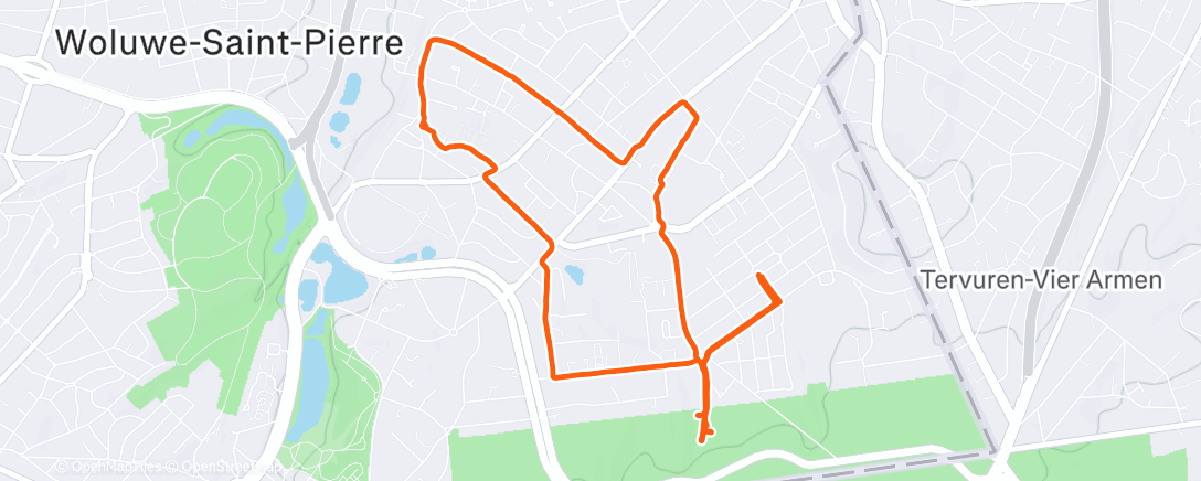 Карта физической активности (Дневная прогулка)