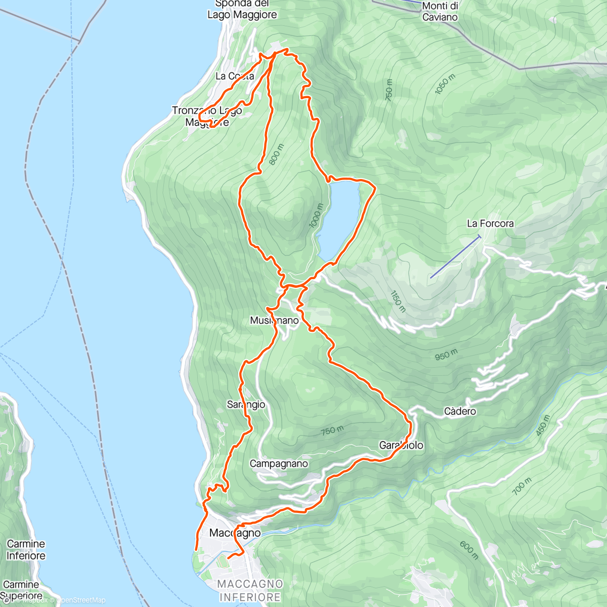 Map of the activity, Liberazione al pascolo