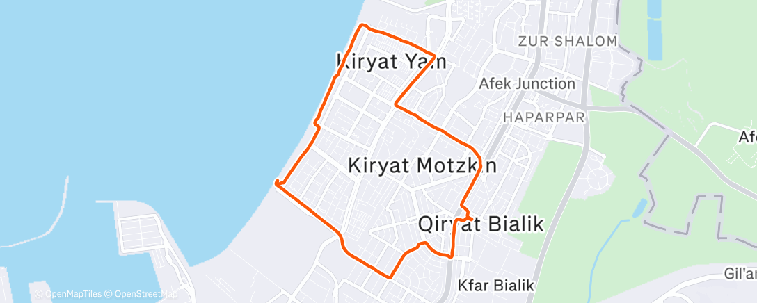 Карта физической активности (Утренний забег)