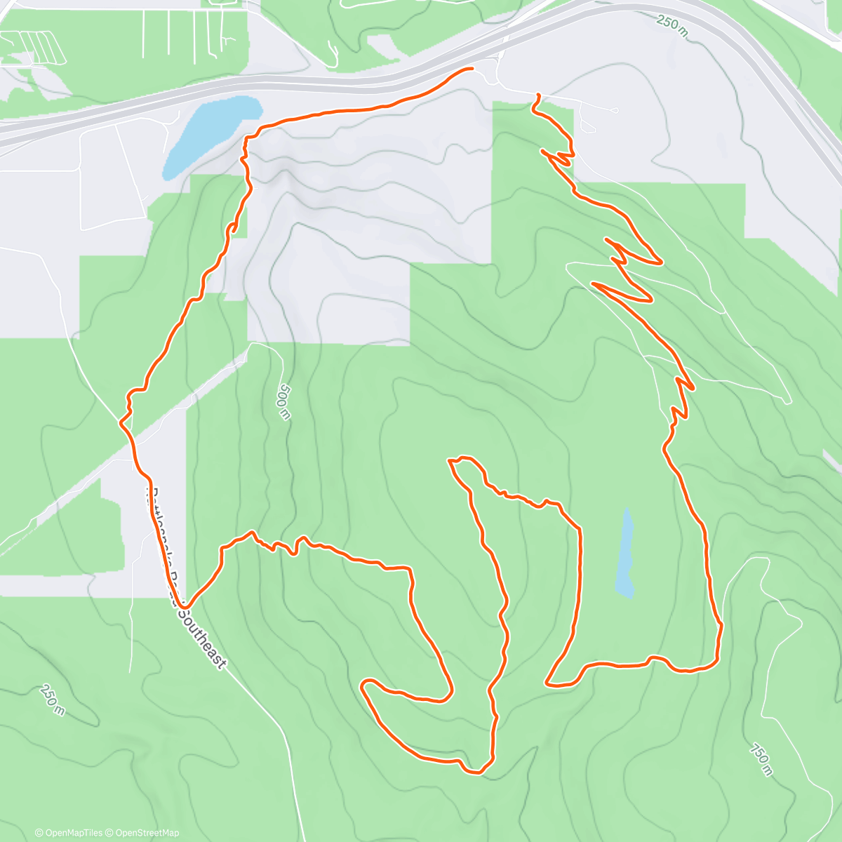 Map of the activity, Massive angel boner