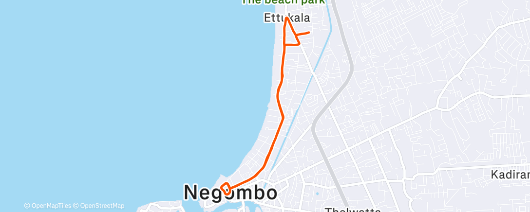 Карта физической активности (Negombo)