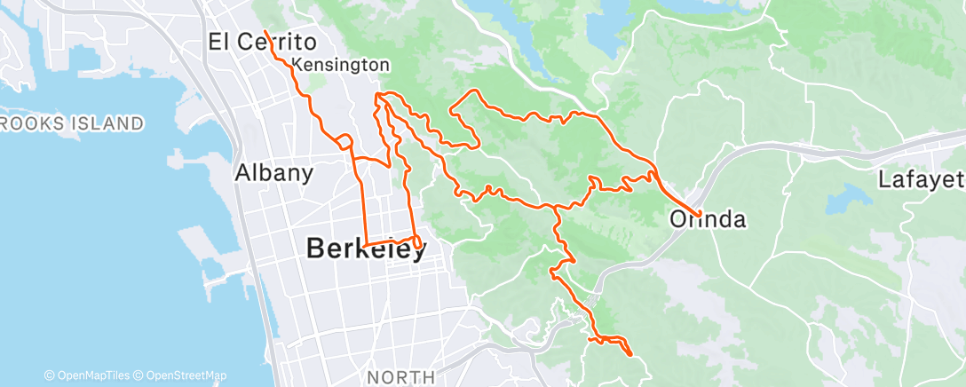 Карта физической активности (Morning Ride)