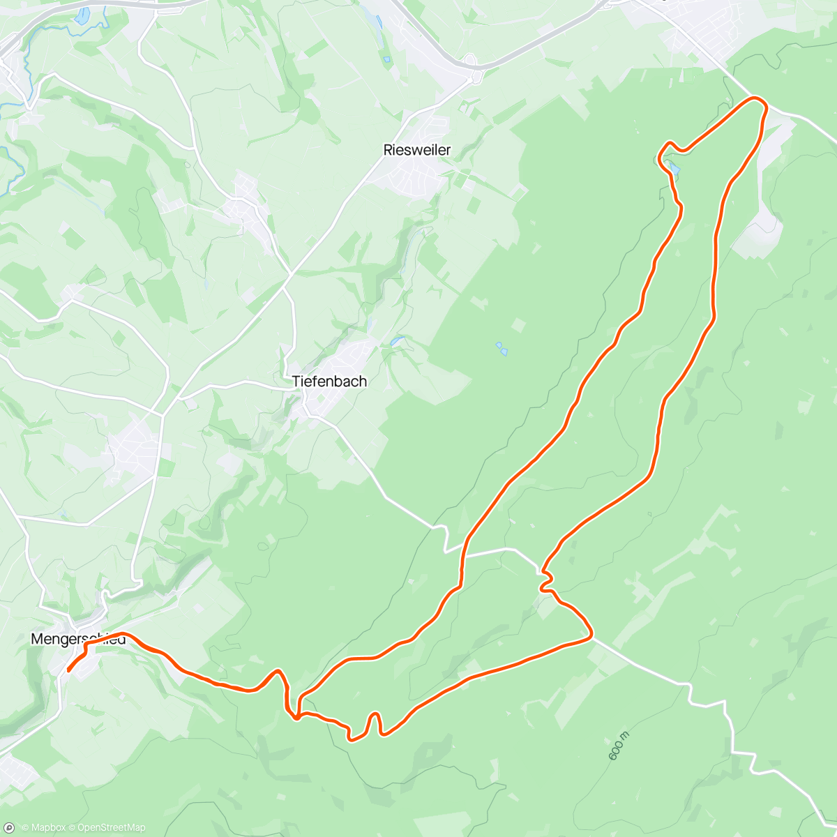 Map of the activity, BKOOL - Wildburg-Waldsee-Mengerschied MTB