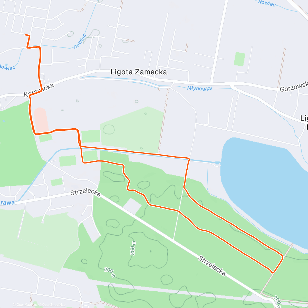 Map of the activity, ⛸️