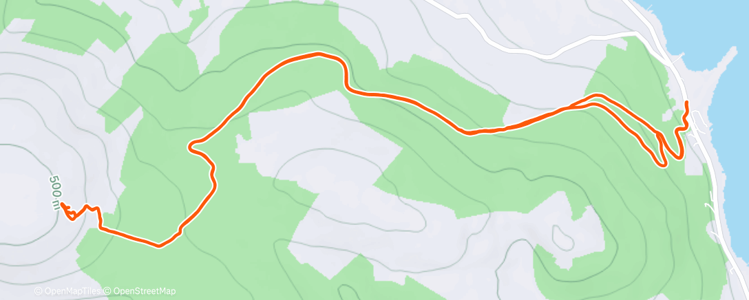 Карта физической активности (Afternoon Trail Run)