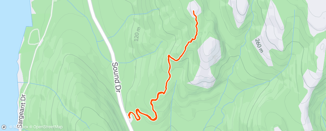 Map of the activity, With Tab, Heidi, and Kary