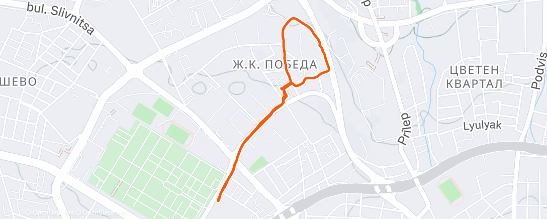 Карта физической активности (Evening Walk)