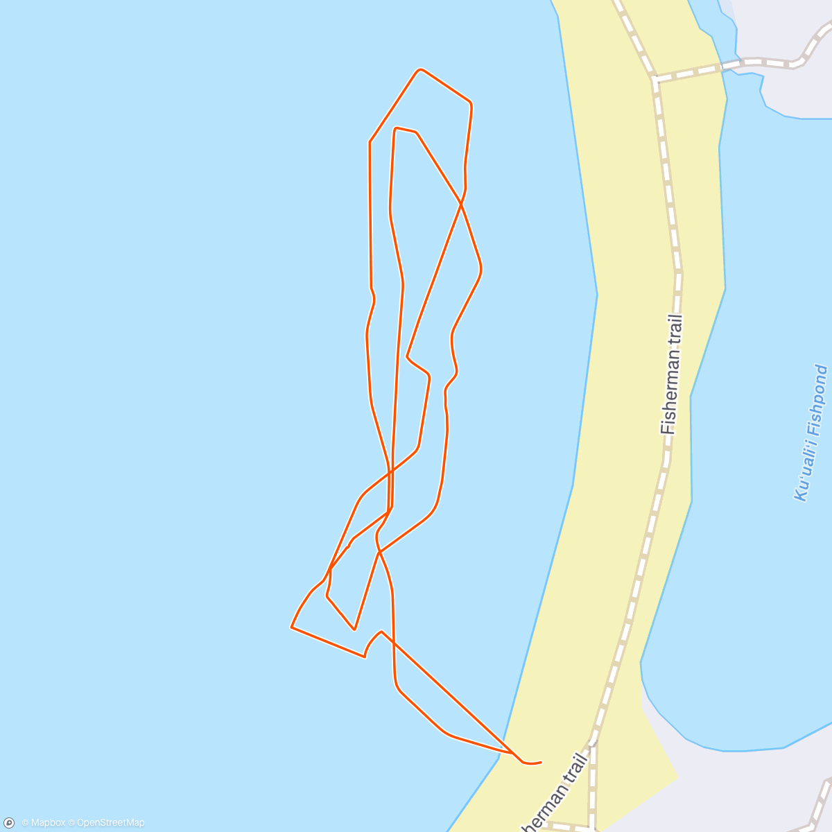 Map of the activity, Afternoon Swim