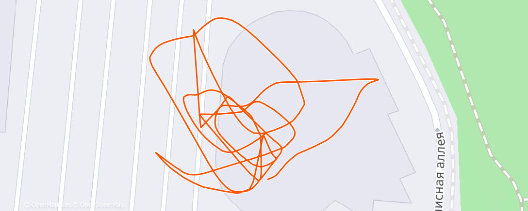 Map of the activity, Ночной забег