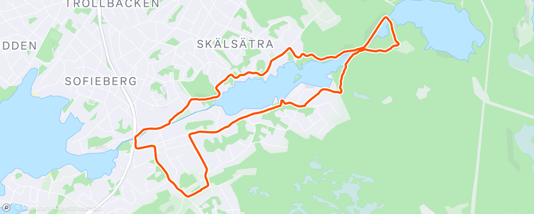 Map of the activity, Evening Run