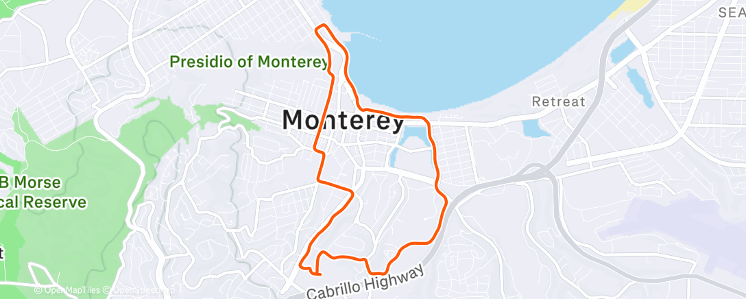 Карта физической активности (WNLR Lulu Run)