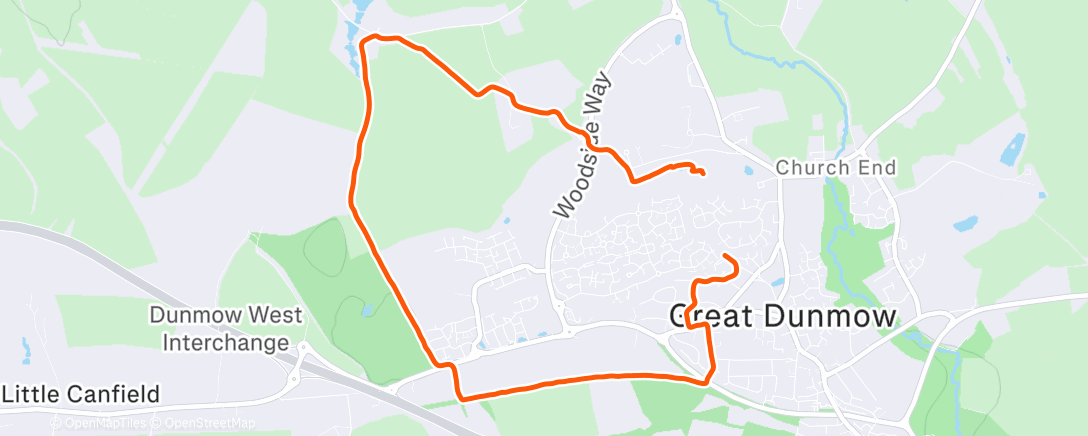 Карта физической активности (Little Wander)