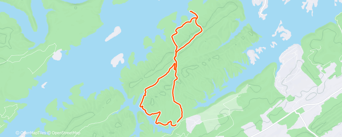 Карта физической активности (Tennessee woods run)