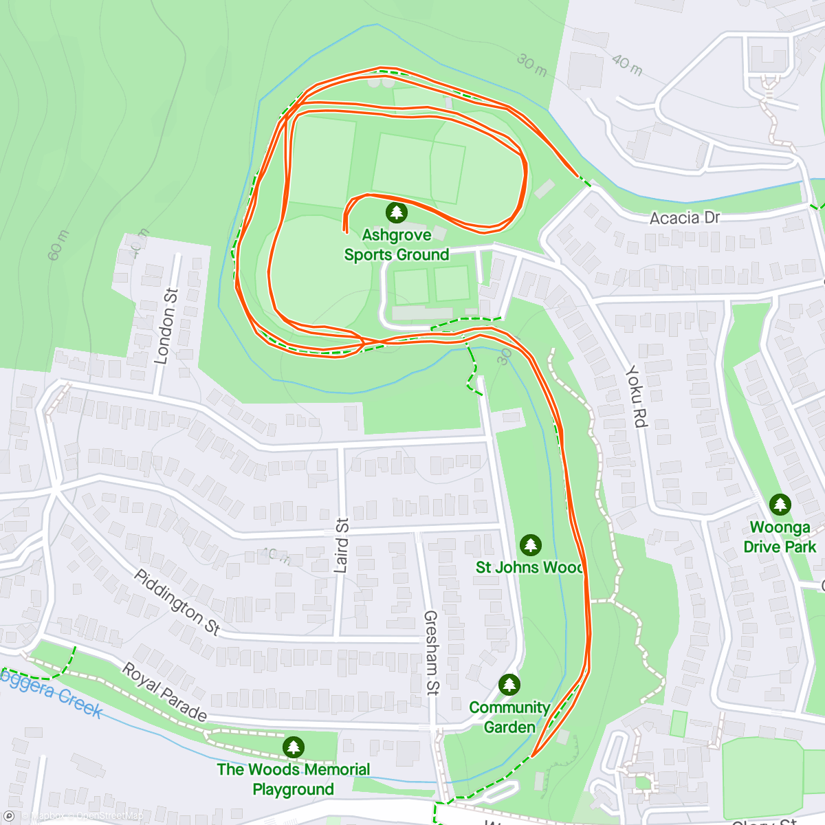 Map of the activity, Eliza’s first Parkrun.