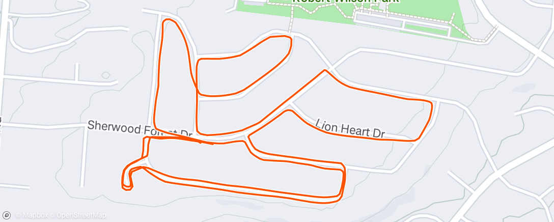 Map of the activity, Morning Run