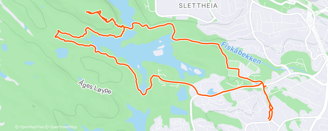 Map of the activity, Morning Trail Run