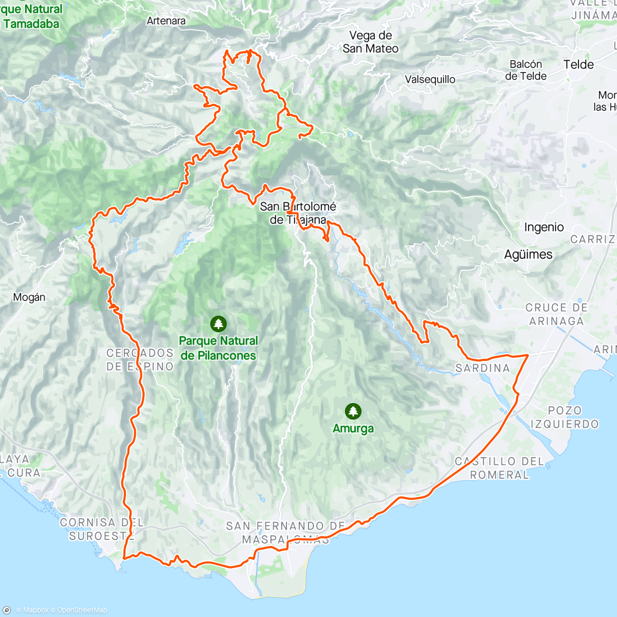 Map of the activity, Pico de las Nieves 🥵