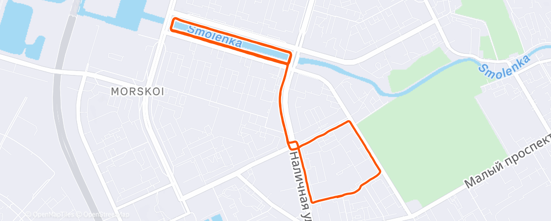 Карта физической активности (Ночной забег)