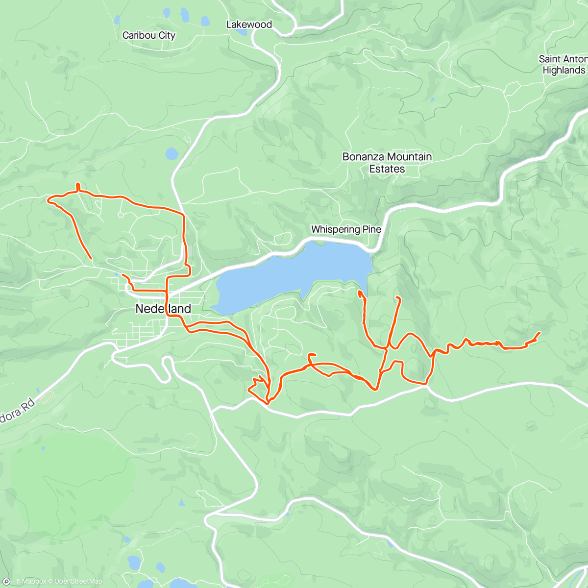 Map of the activity, Chilling and tree cutting and exploring