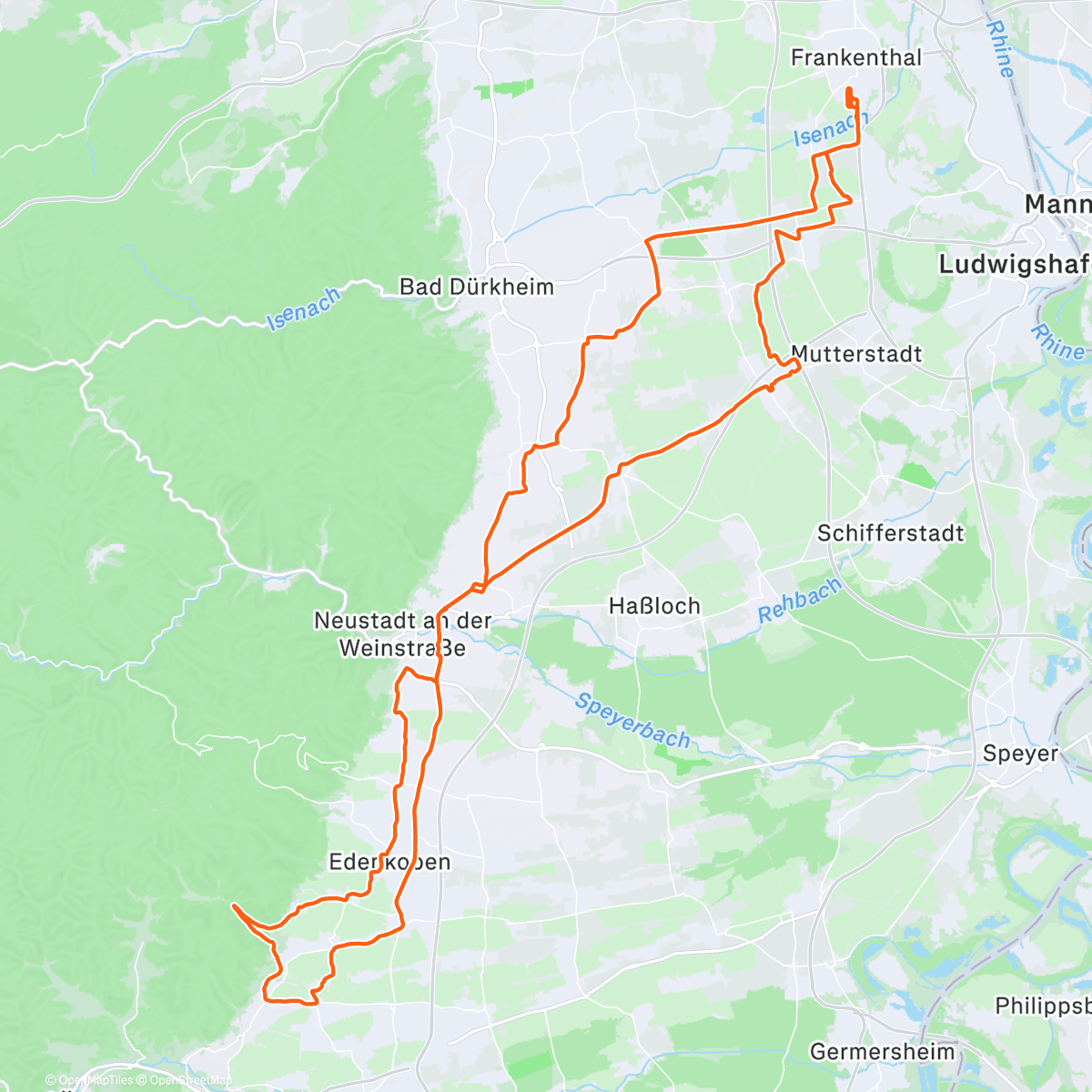 Карта физической активности (Pfälzisches Nizza (Gleisweiler) :-))