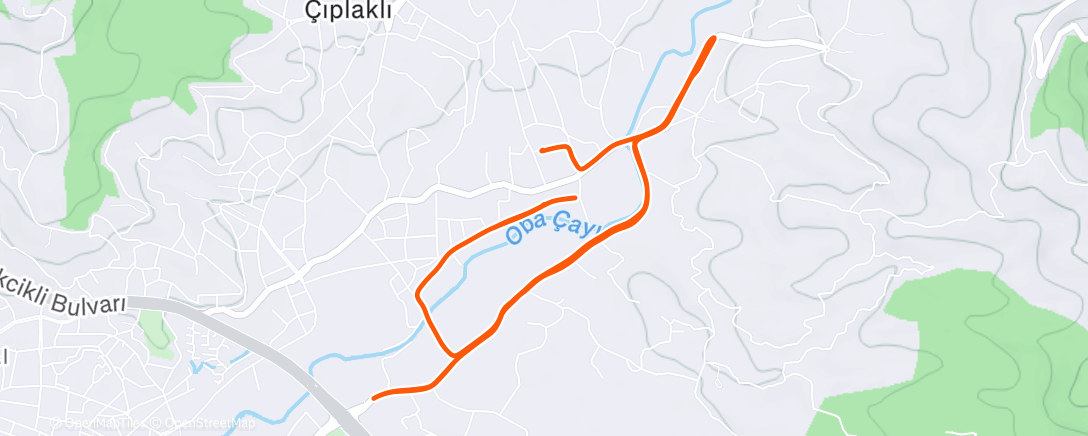 Map of the activity, Вечерний забег