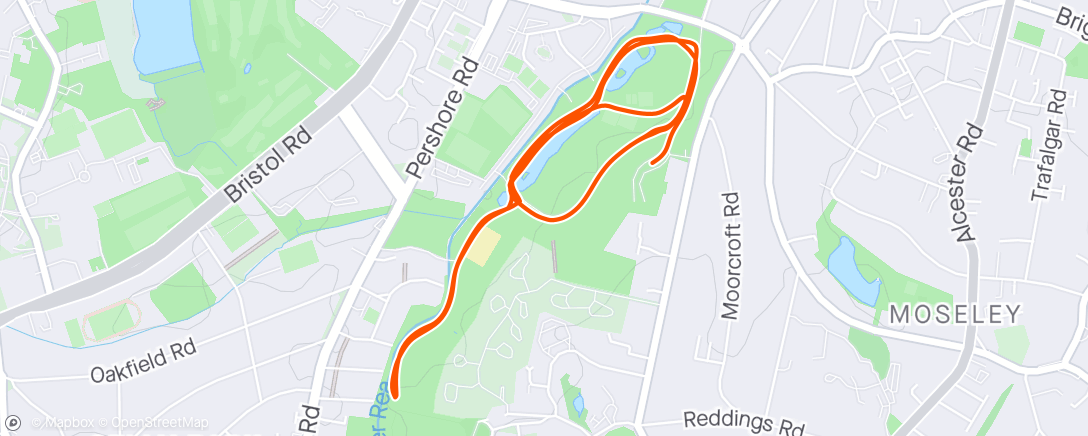 Map of the activity, parkrun in sync with Andy