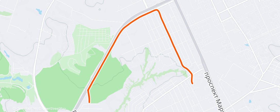 Карта физической активности (Утренний забег)