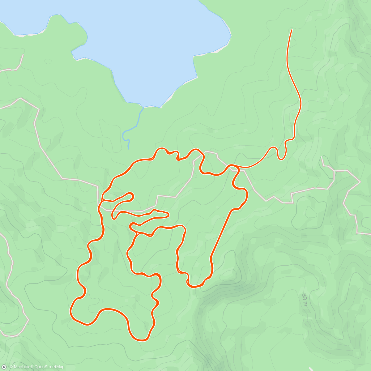 Map of the activity, Zwift - 2hr Openers in Watopia