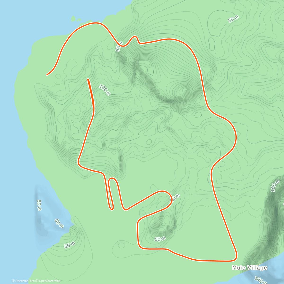 Карта физической активности (Zwift - Figure 8 in Watopia)