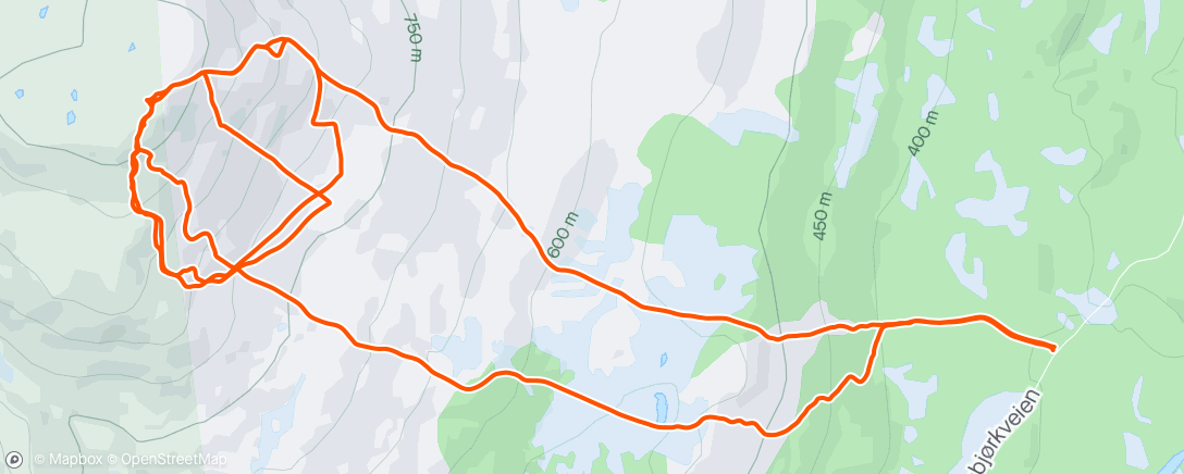 Mappa dell'attività Afternoon Backcountry Ski