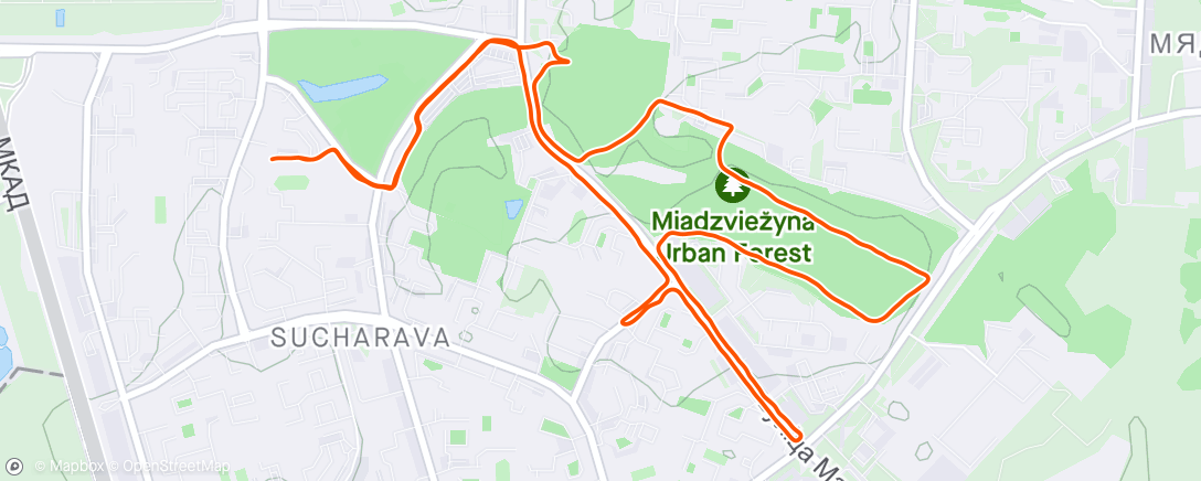 Map of the activity, Afternoon Run