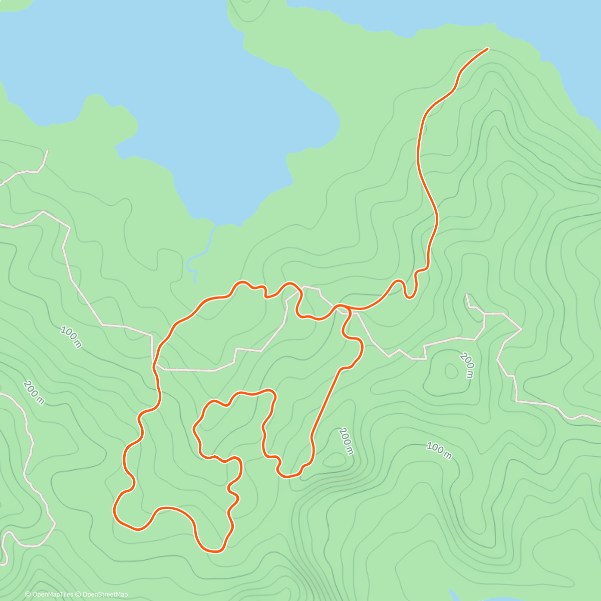 Map of the activity, Zwift - HWBTWTDWH on Jungle Circuit in Watopia
