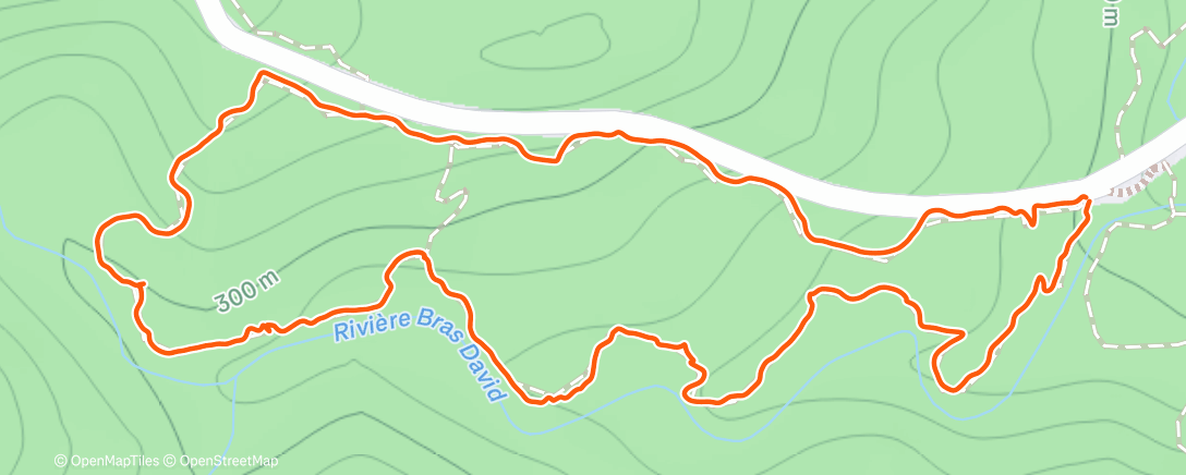 Карта физической активности (Morning Hike)