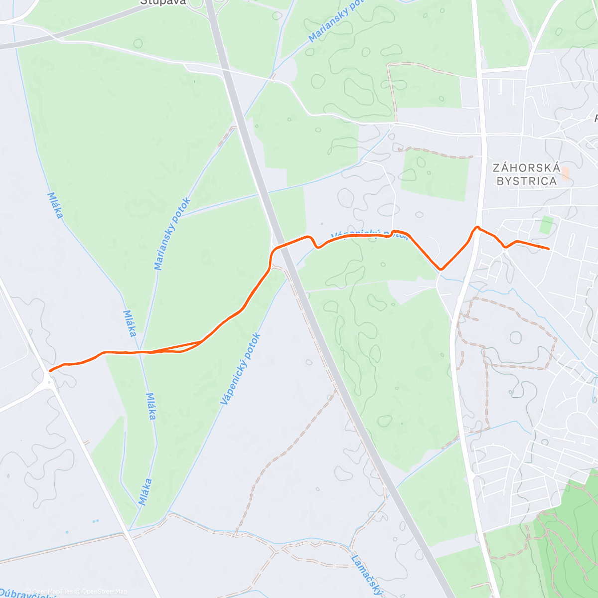 Map of the activity, Morning Run