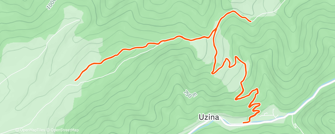 Карта физической активности (Long run🥶❄️)