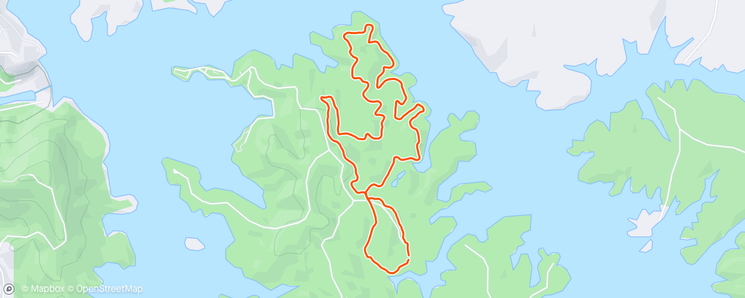 Mapa da atividade, Red Top Trail Run - TriDot Z2 Run